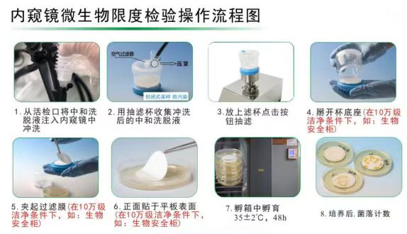 1761727910149642.jpg 內鏡操作流程圖.jpg